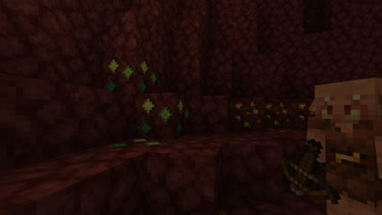 Exp Ores — screenshot 2