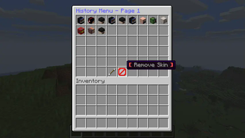 SkinsRestorer — screenshot 3