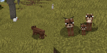 Caracal mob — screenshot 2