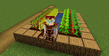 Latiao Craft 2 — screenshot 2