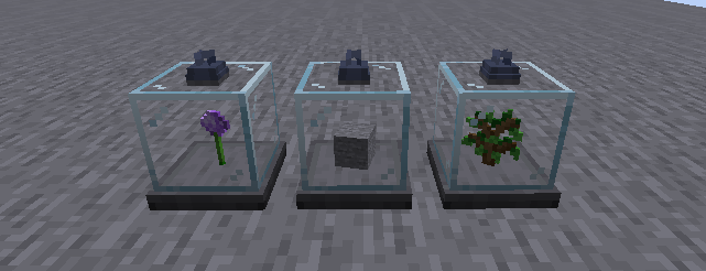 Display Case — screenshot 1