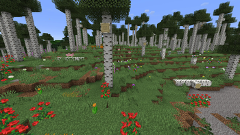 Wilder Wild — screenshot 3