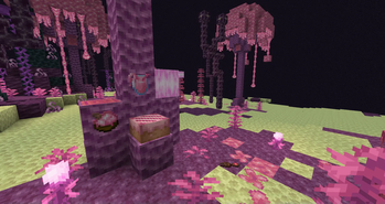 Exquisito — screenshot 2