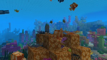 Rainbow Reef — screenshot 1