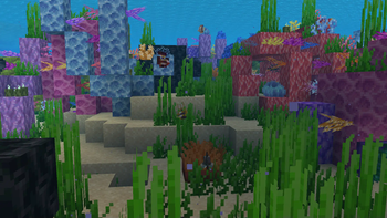 Rainbow Reef — screenshot 3