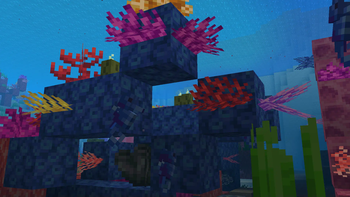 Rainbow Reef — screenshot 5
