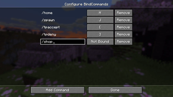 BindCommands — screenshot 1