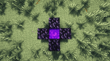Custom Nether Portal — screenshot 4