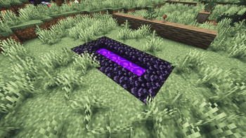 Custom Nether Portal — screenshot 6