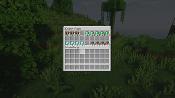 EnderPack — screenshot 4