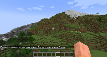 Panorama Screenshot — screenshot 2