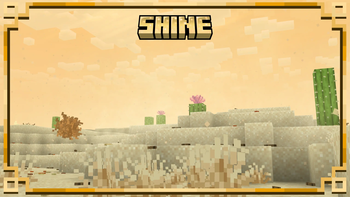 Shine — screenshot 8