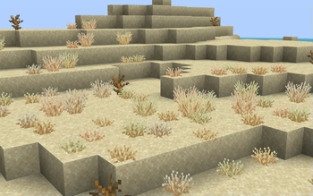 Os' Colorful Grasses — screenshot 2