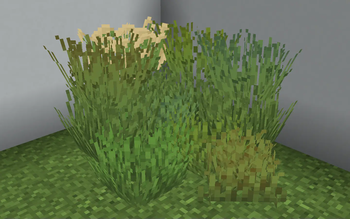 Os' Colorful Grasses — screenshot 6