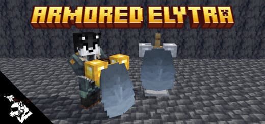 Armor with Elytra — screenshot 1