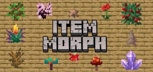 Transform into Items 26+ — screenshot 1