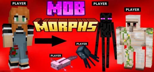 Mob Transformation Tools 1.21+ — screenshot 1