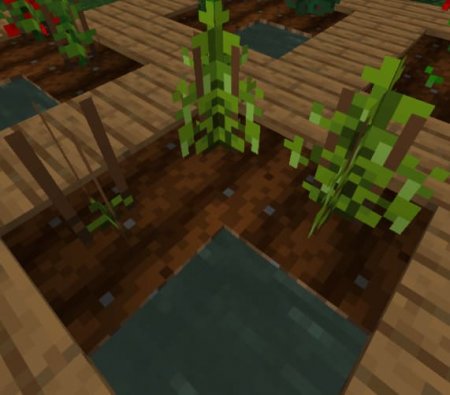 New Plants — screenshot 3