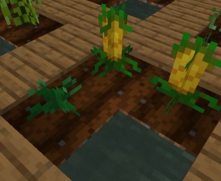 New Plants — screenshot 5