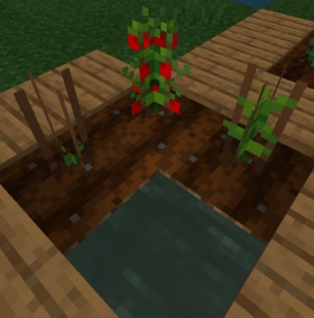 New Plants — screenshot 6