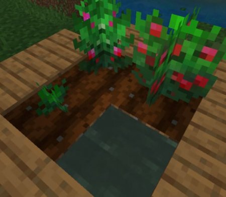 New Plants — screenshot 8