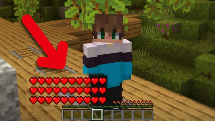 Health Hearts 1.21+ — screenshot 3