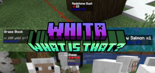 What is This? — screenshot 1