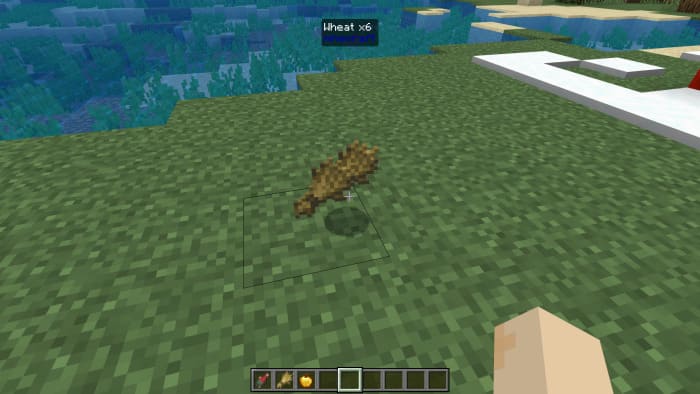 What is This? — screenshot 2