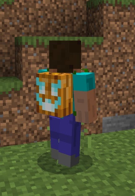 Multi Backpacks