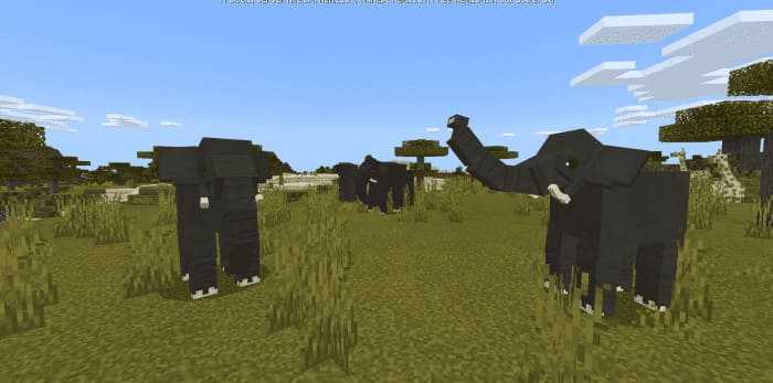 Animal World — screenshot 2