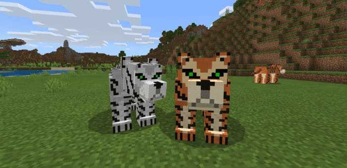 Animal World — screenshot 7