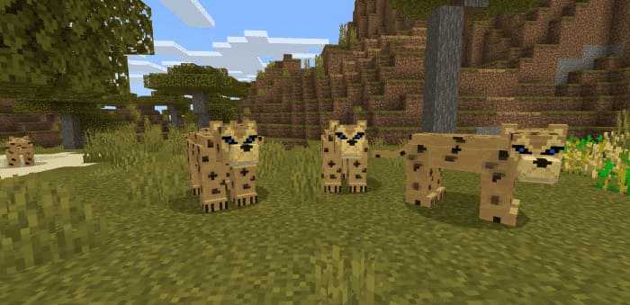 Animal World — screenshot 8