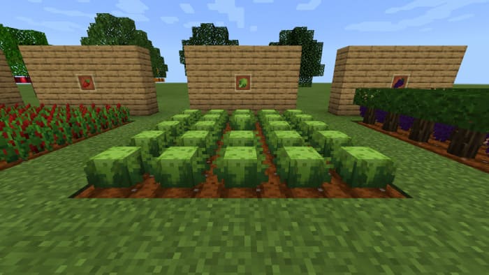 Farm — screenshot 2
