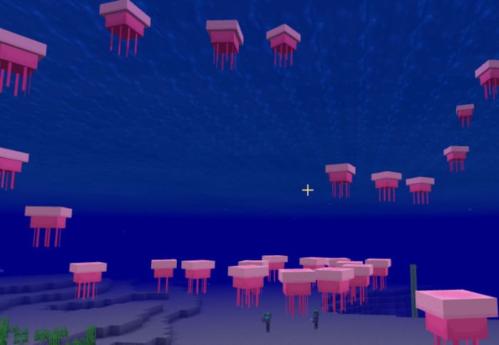 Enhanced Ocean 1.19+ — screenshot 6