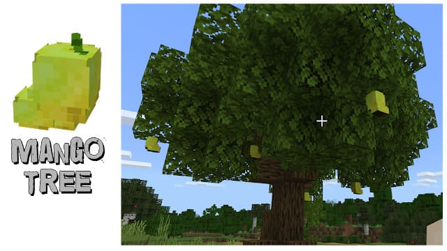 Fruit Trees