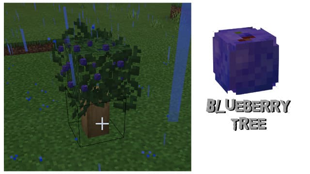 Fruit Trees — screenshot 6