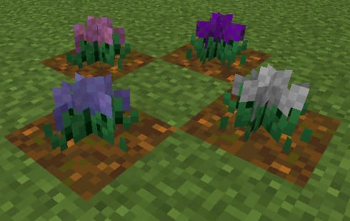 Flowers — screenshot 3