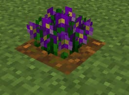 Flowers — screenshot 4