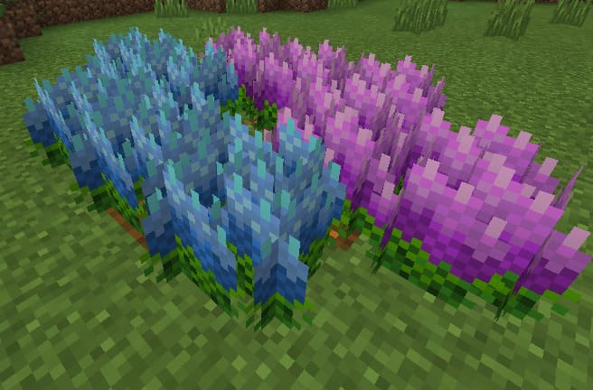 Flowers — screenshot 5