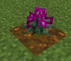 Flowers — screenshot 6