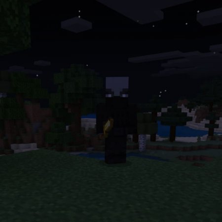 Stealth and Deception — screenshot 7