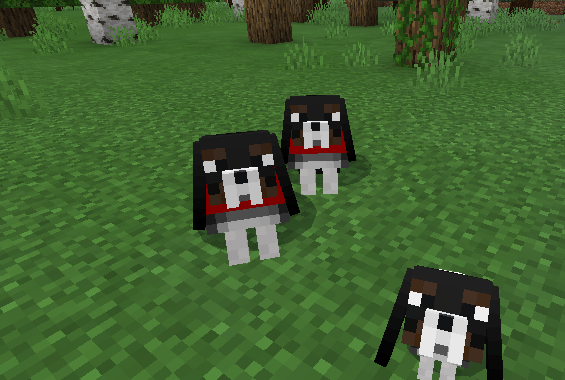 Dog Breeds — screenshot 2