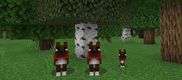 Dog Breeds — screenshot 3