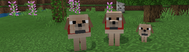 Dog Breeds — screenshot 5