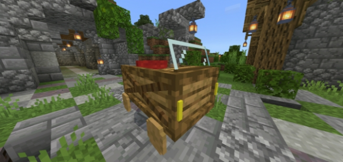 Transport Mod