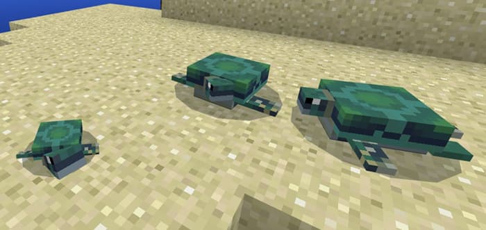 Turtle Mod (Concept) — screenshot 2