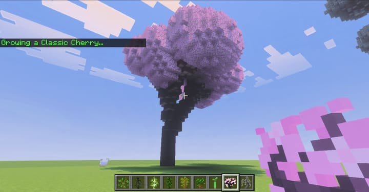 Big Trees 26+ — screenshot 2