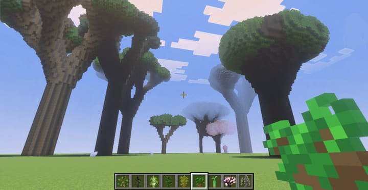 Big Trees 26+ — screenshot 3