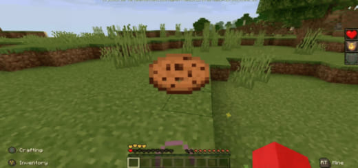 Totem Disguise 1.16+