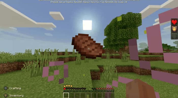 Totem Disguise 1.16+ — screenshot 1